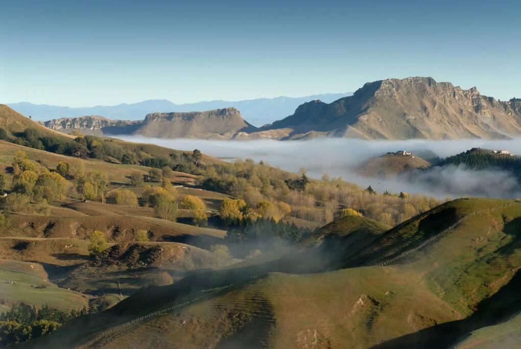 Cape South Estate - International Award-Winning Country Estate With Pacific Views ハブロック・ノース エクステリア 写真